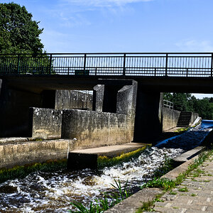 DSC_1467-20240720.jpg
