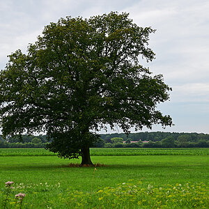 Z8A_0244t5l10fks45p1.jpg