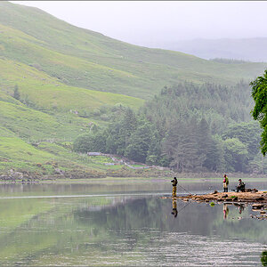 DSC_0338-2.jpg
