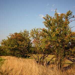 DSC_1706_00015n.jpg