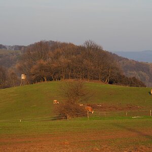 P3300114n.JPG