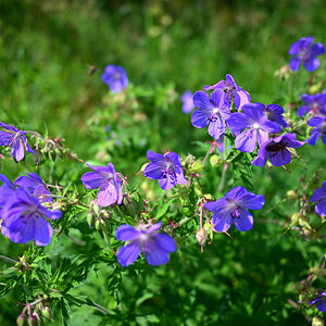 SKE_0488.JPG