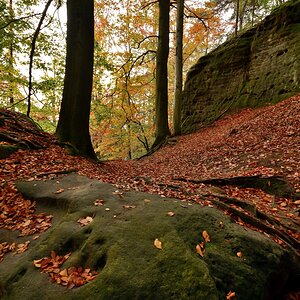 DSC_0059_00001n.jpg