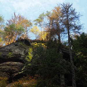 PA181069n.jpg