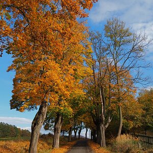 PA181130n.jpg