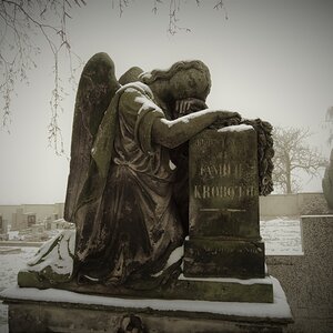 DSCN1537 (2)n.jpg