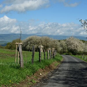 DSC_1883_00001_01n.jpg