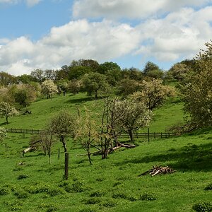 DSC_1891_00001n.jpg
