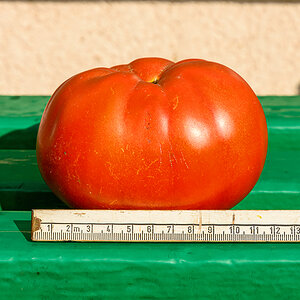 OF2_69300.jpg