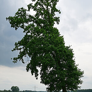 Z8A_0249t30l10s45p1.jpg