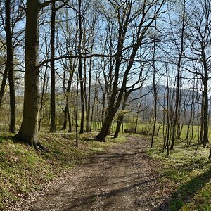 DSC_0831_00001n.jpg