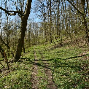 DSC_0888_00001.jpg