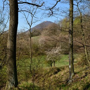DSC_0900_00001_01n.jpg