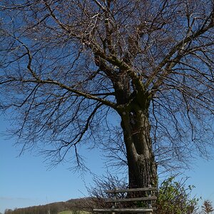 DSC_0912_00001n.jpg