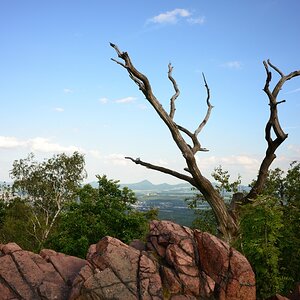 DSC_1183_00001n.jpg