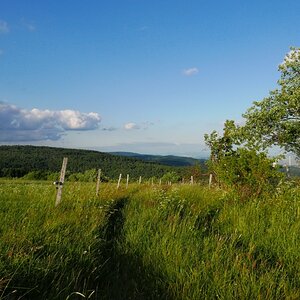 P1000481n.jpg