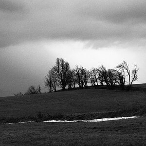 P1140076n.jpg