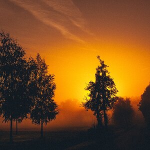 Nebel