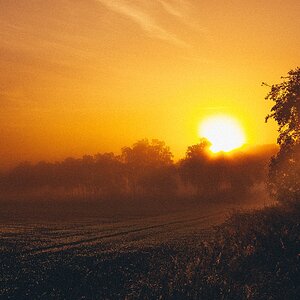 Nebel