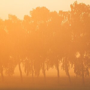 Nebel