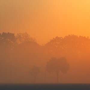 Nebel