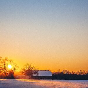 Winter
