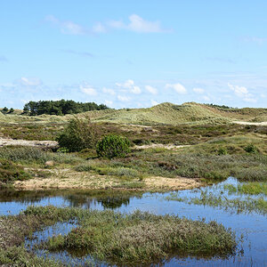DSC_1209.JPG