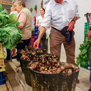 20110507-DSC_0774.jpg