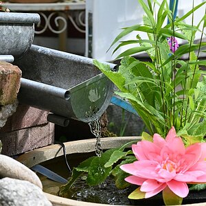 Stilleben mít Brunnen.jpg