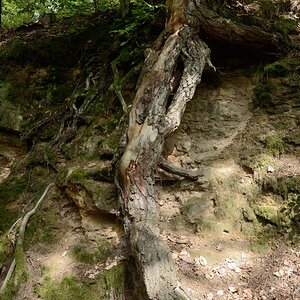DSC_3267_00001n.jpg
