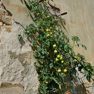 DSC_3291_00001_01n.jpg