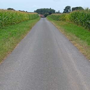 Maisallee.jpg