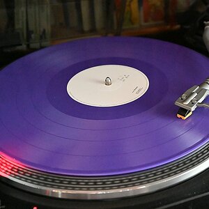 Purple3.jpg