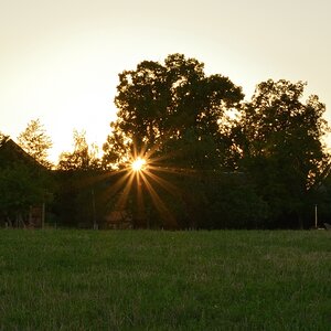 DSC_1408_00001n.jpg