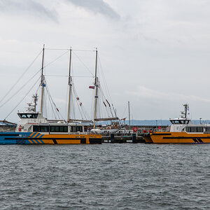 240809 Windkatze-1.jpg