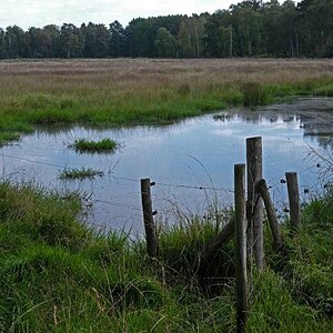 Lüder Moor 3.jpg