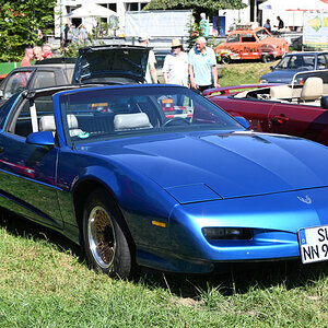 o248_05-1.JPG