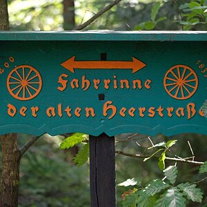 Waldfahrrinne.jpg
