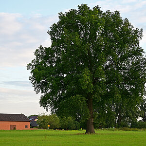 Z8A_0296t10l10s45p1.jpg
