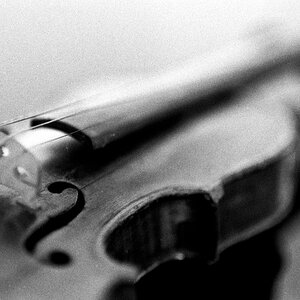 Violine