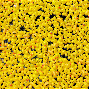 Entenrennen 2009 09 06 D2X 3868 1