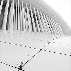 cR Philharmonie Unkraut 9209