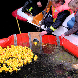 Entenrennen 2009 09 06 D2X 3780 1