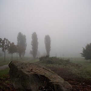 Herbstnebel
