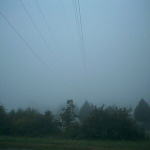 Verschwindet im Nebel