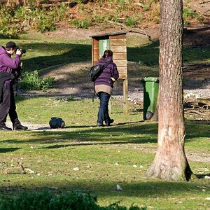 Wildpark 111www