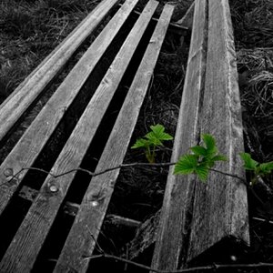 © www.snap-shot.at.tf