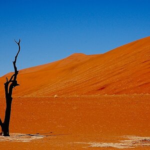 Deadvlei001