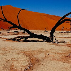 Deadvlei002