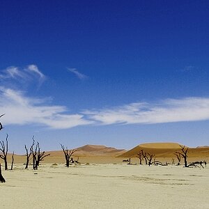 Deadvlei004
